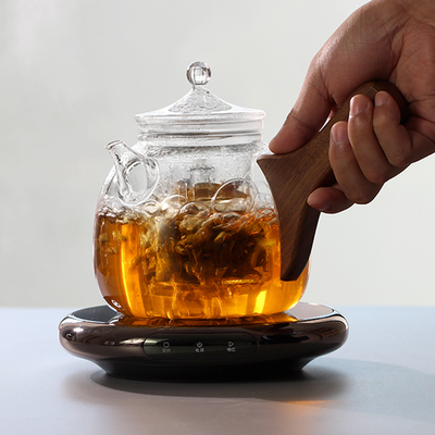 高硼硅全玻璃养生壶 侧把蒸煮两用煮茶壶急须壶 耐高温大容量套装