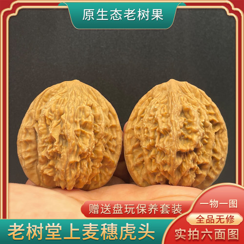 老树麦穗堂上虎头白茬把件