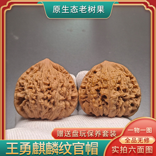 一物一图文玩核桃老树王勇麒麟纹官帽全品无修手把件原皮原色送礼