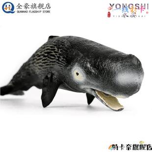 彷真抹香鲸梅氏利维坦鲸齿鲸大号梅尔维尔鲸玩具儿童海底生物模型