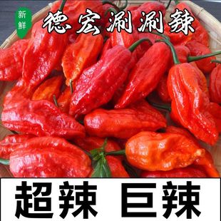 印度魔鬼辣椒云南特产新鲜魔鬼椒涮涮辣变态辣特辣