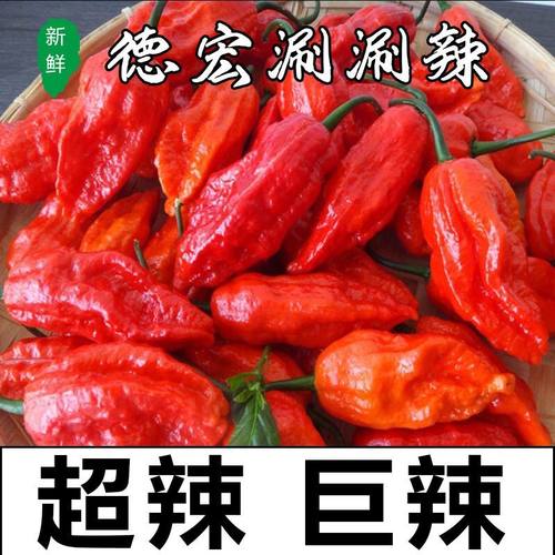 印度魔鬼辣椒云南特产