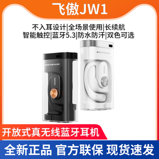 不入耳真无线蓝牙耳机运动跑步耳挂式 手机语音 JW1开放式 FiiO飞傲