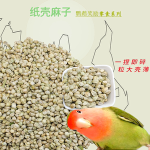 纸壳麻子玄风牡丹小太小和鹦鹉互动奖励零食鸟粮增肥火麻子