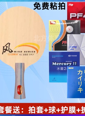 DHS 红双喜热风初学者乒乓球底板DIY定制 直横板单小学生专用正品