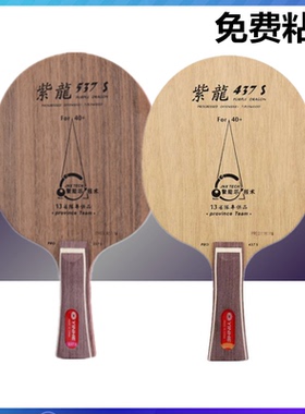 正品YINHE银河 乒乓球底板PD.437S/537S中远台快攻弧圈型乒乓球拍