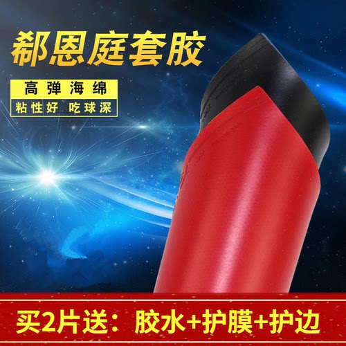 郗恩庭专业训练套初学正品乒乓球