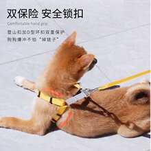 防挣脱一件代发牵引绳猫咪绳子 宠物用品胸背带狗狗小型犬狗绳套装