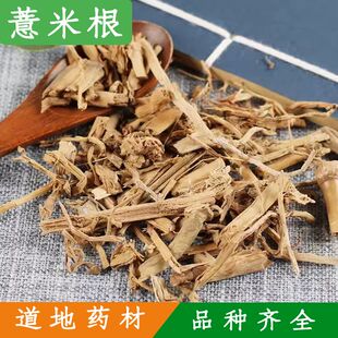 中药材 薏仁米根/薏苡仁根/薏米仁根 薏仁根 500克包邮 草珠子根