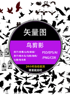 ps燕子麻雀乌鸦老鹰海鸥大雁鸽子鸵鸟黑白动物剪影ai设计矢量素材