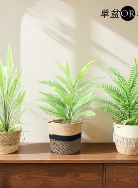 仿真植物盆栽造景组合套装小型