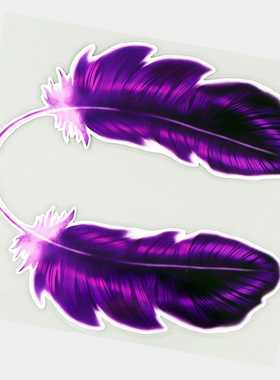 紫色羽毛电动车汽车个性创意装饰贴纸划痕遮挡遮盖防水车贴