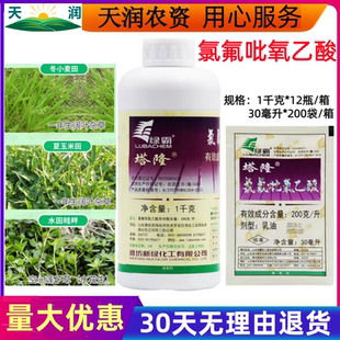 塔隆200克/升氯氟吡氧乙酸阔叶杂草 一年生阔叶杂草除草剂