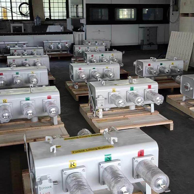 户外柱上SF6绝缘负荷开关PGS-12KV/630A&高压负荷开关&LFW34-12