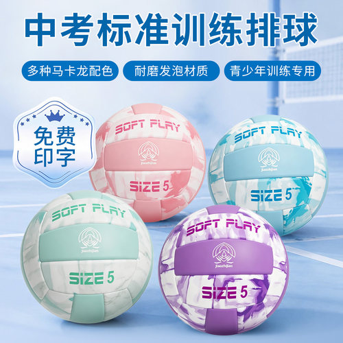JZJ中考训练专用标准软式排球