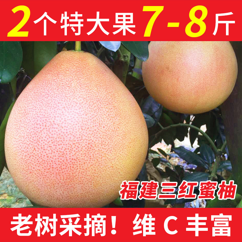福建平和琯溪三红蜜柚正宗红心红柚子