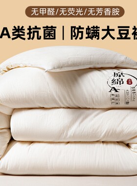 A类大豆纤维被加厚保暖冬被