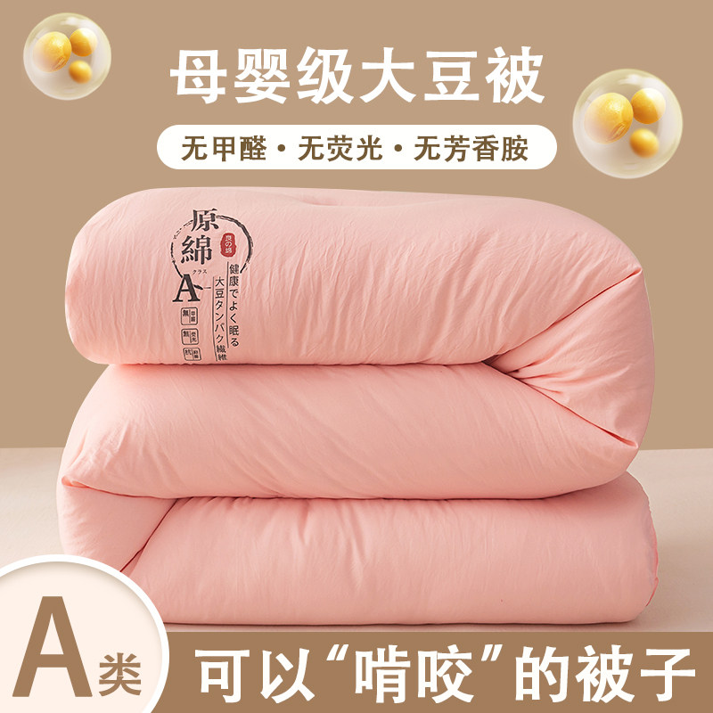 A类大豆冬被加厚保暖春秋季