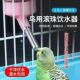 鸟用饮水器自动水器滚珠鹦鹉玄凤虎皮八哥小鸟外置水壶鸟笼用品