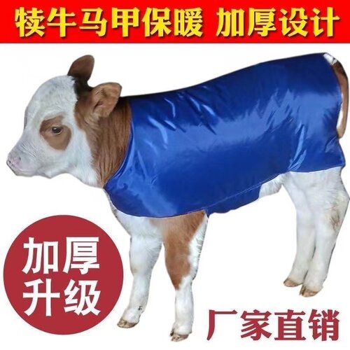 小牛保暖马甲加厚加绒防水