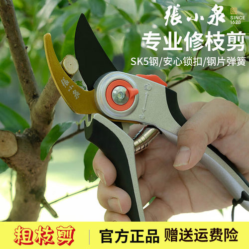 张小泉园艺剪园林果树修枝剪