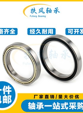 扶风轴承16013 16014 16015 16016 16017 16018 16019 16021ZZ RS