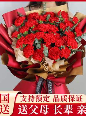 母亲节康乃馨花束鲜花速递同城配送辽宁省营口市站前西市鲅鱼圈区