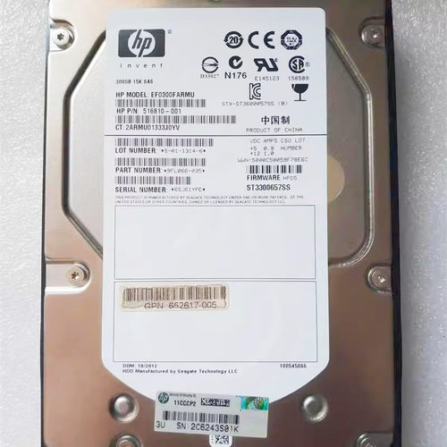 700937HP300G15KG8硬盘