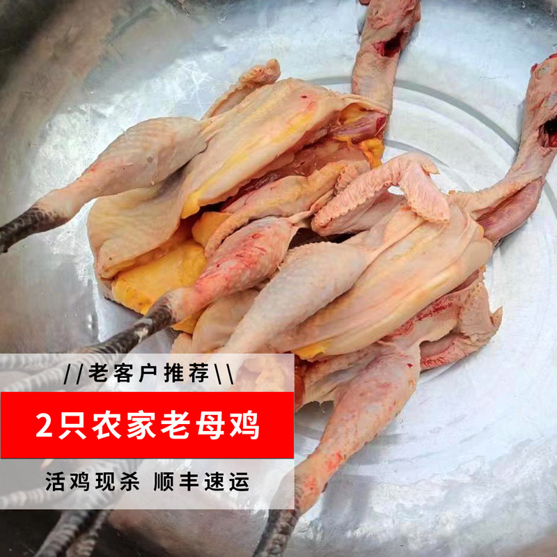 【2只老母鸡】农家散养2年土鸡正宗走地鸡草鸡土母鸡 现杀月子鸡