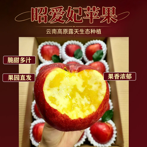 云南昭爱妃苹果海拔2400米露天生态种植脆甜多汁现摘现发糖心苹果