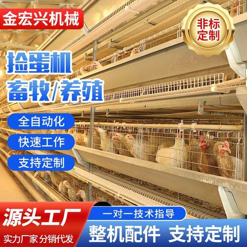 新型捡蛋机 鸡场拾蛋设备可自动过滤破损鸡蛋 自动化三排拾蛋机