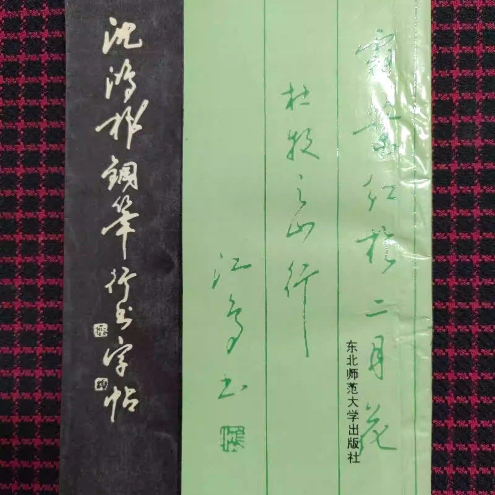 正版旧书  沈鸿根钢笔行书字帖 沈鸿根(江鸟)东北师 原版老书籍