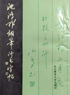 正版旧书  沈鸿根钢笔行书字帖 沈鸿根(江鸟)东北师 原版老书籍