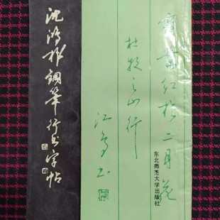 正版旧书  沈鸿根钢笔行书字帖 沈鸿根(江鸟)东北师 原版老书籍