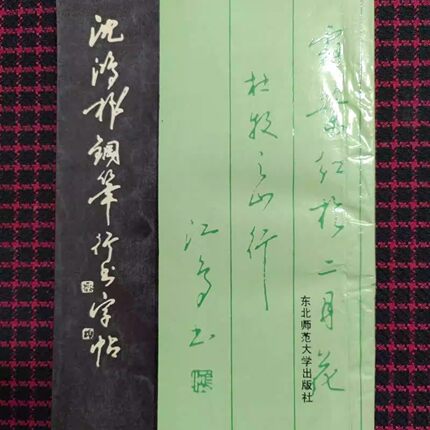 正版旧书  沈鸿根钢笔行书字帖 沈鸿根(江鸟)东北师 原版老书籍