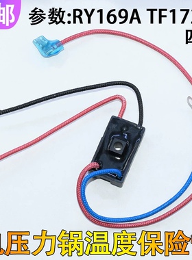 电压力锅煲温度保险丝管RY169A Tf172℃温控热熔断器10A