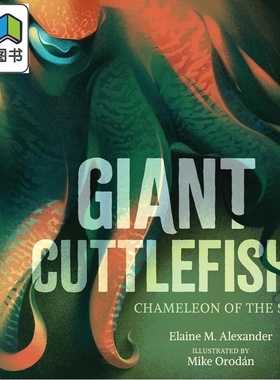 巨型乌贼 海洋中的变色龙 Giant Cuttlefish Chameleon of the Sea 英文原版儿童绘本海洋生物动物知识科普图画书 大音