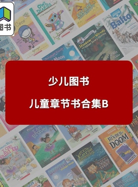英文原版 儿童章节书合集B 可怕的小哈里Horrible Harry 过目不忘的小珍妮Cam Jansen 麻烦精马文Marvin Redpost 大音