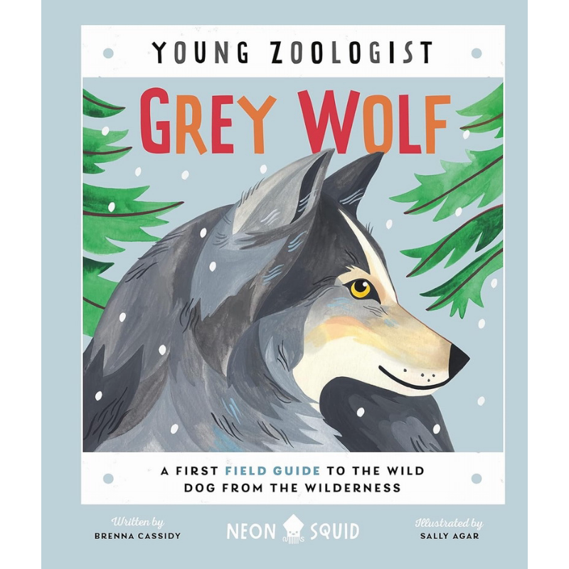 小动物家 大灰狼 Young Zoologist Gray Wolf 英文原版 儿童科普绘本 动物知识百科图画书 精装绘本 进口儿童读物 大音