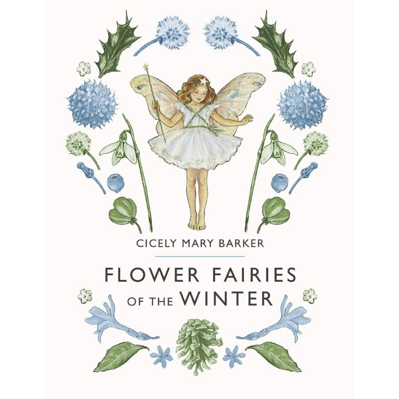 花仙子：冬之仙子 Flower Fairies of the Winter 英文原版 儿童植物花卉绘本图画书 精装精品绘本 进口儿童读物 大音