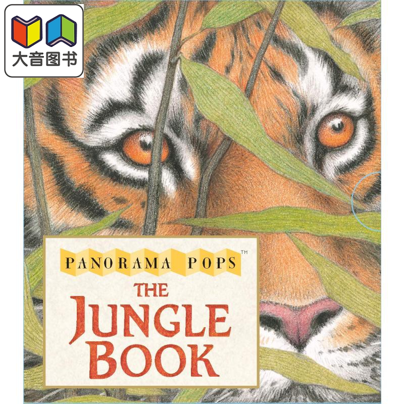 立体书:丛林英文原版