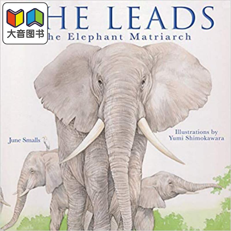She Leads The Elephant Matriarch 带领大象 英文原版儿童绘本 动物及动物故事主题  June Smalls 6到9岁 大音