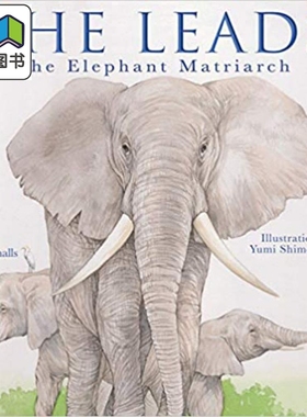 She Leads The Elephant Matriarch 带领大象 英文原版儿童绘本 动物及动物故事主题  June Smalls 6到9岁 大音