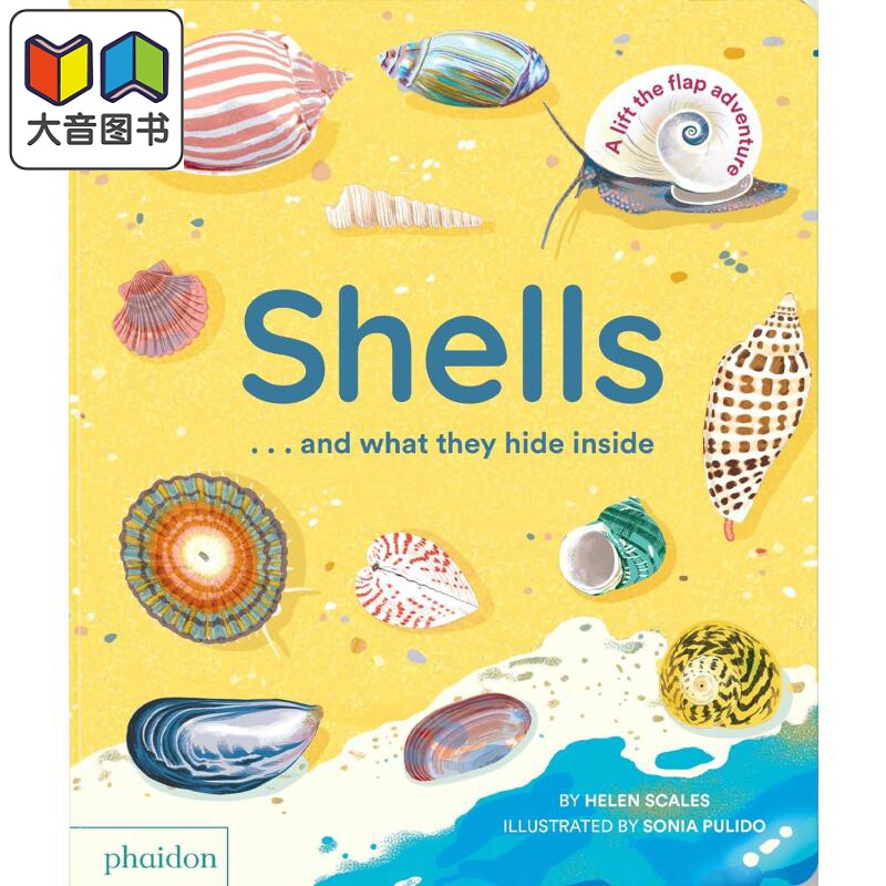 贝壳背后的秘密 Shells... and what they hide inside 英文原版 儿童纸板绘本 少儿科普知识纸板书翻翻书 2-5岁 大音