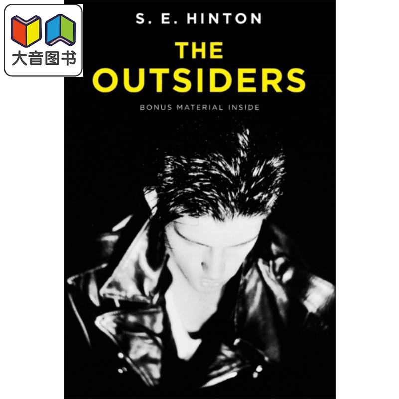 常青藤国际大奖小说追逐金色的少年 局外人英文原版 The Outsiders S.E.Hinton苏珊埃洛伊斯欣顿青少年读物 大音