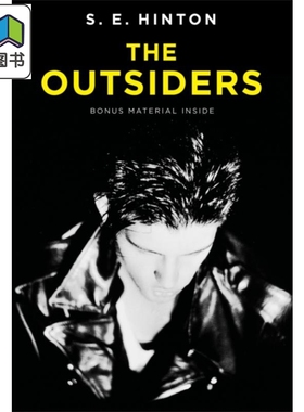 常青藤国际大奖小说追逐金色的少年 局外人英文原版 The Outsiders S.E.Hinton苏珊埃洛伊斯欣顿青少年读物 大音