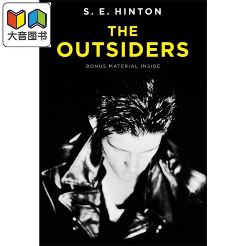 常青藤国际大奖小说追逐金色的少年 局外人英文原版 The Outsiders S.E.Hinton苏珊埃洛伊斯欣顿青少年读物 大音