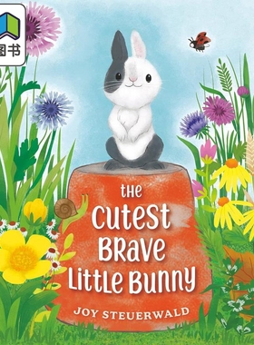 可爱勇敢的小兔子 Joy Steuerwald The Cutest Brave Little Bunny英文原版进口 儿童绘本 图画故事 精装精品绘本 大音