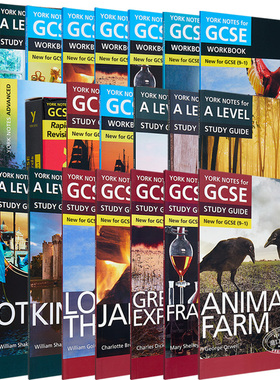 培生 Yorknotes 英语文学教辅笔记 For GCSE A-level Advanced A Christmas Carol 圣诞颂歌 Workbook 练习册 英文原版 狄更斯