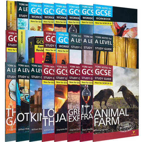 英语文学教辅笔记Yorknotes